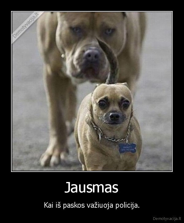 policija,vaziuoti