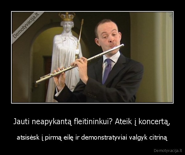 seiles,daug, seiliu,labai, daug, seiliu,neina, grot,citrina,fleitistas,sakutes