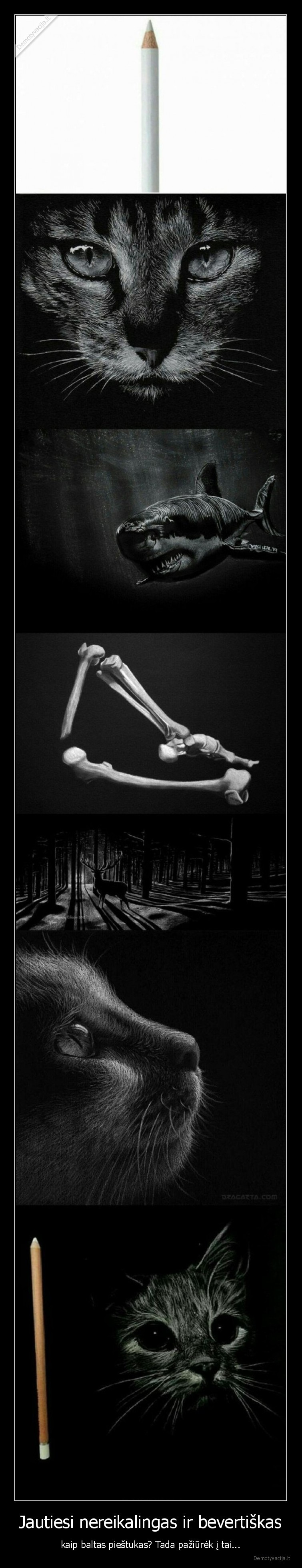 bevertis,piestukas,baltas,nereikalingas