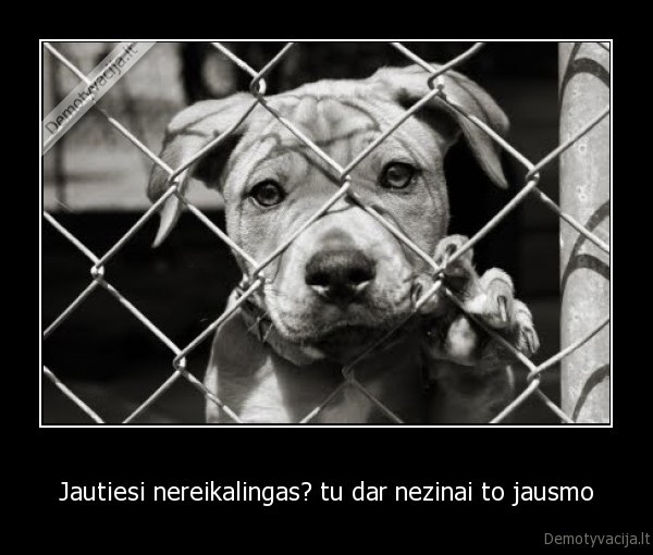 Jautiesi nereikalingas? tu dar nezinai to jausmo