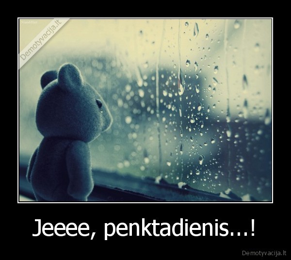 lyja,lietus,penktadienis,liudnia