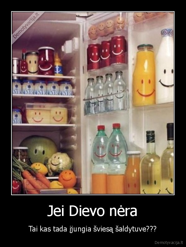 sviesa,saldytuvas,ijungia