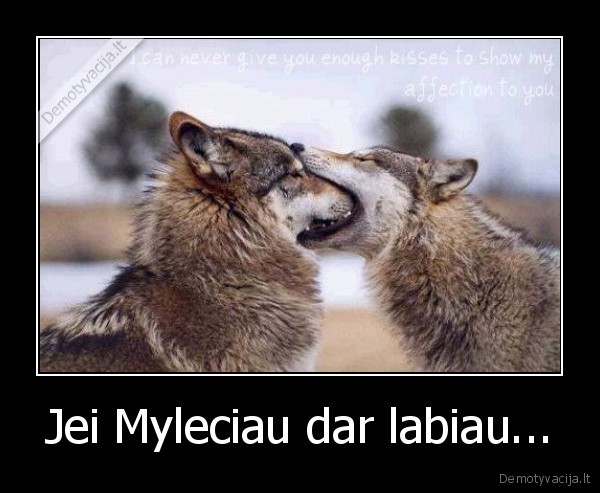 Jei Myleciau dar labiau...
