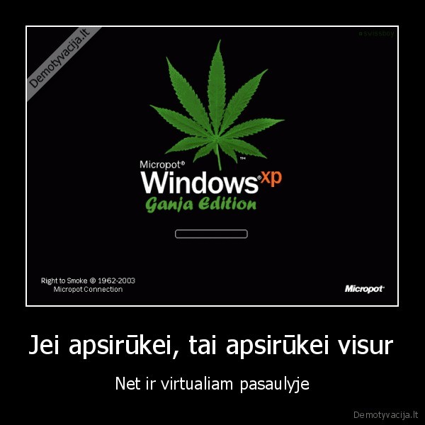 ganja,windows