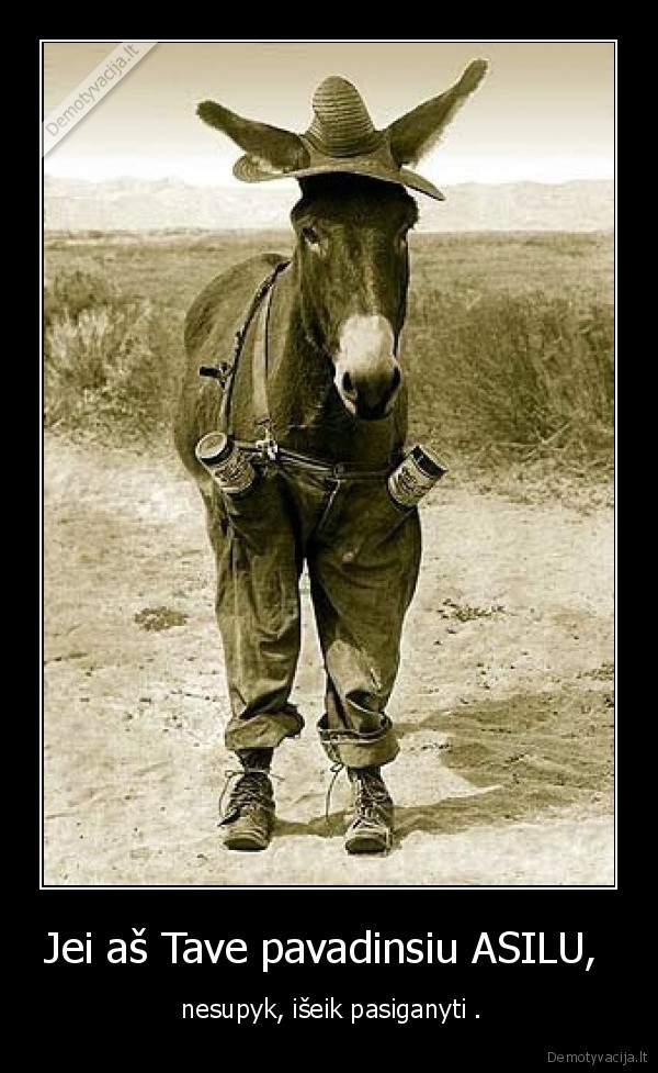 Jei aš Tave pavadinsiu ASILU, 