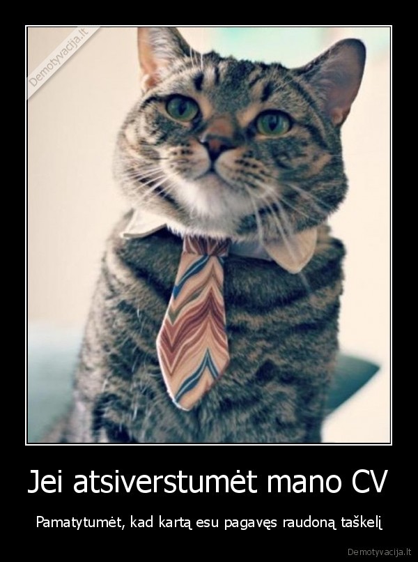 raudonas, taskas,lazerio, sviesa,katino, cv