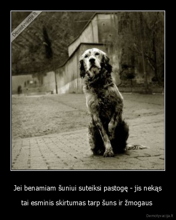 skirtumai, suo, zmogus