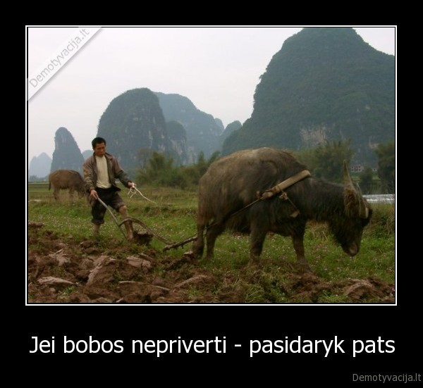 Jei bobos nepriverti - pasidaryk pats