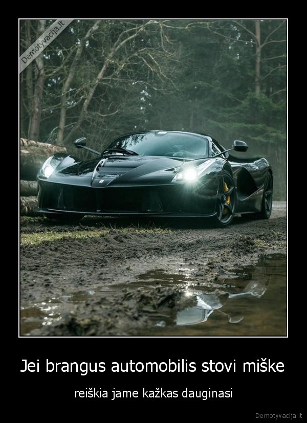 autombilis,brangus,miskas