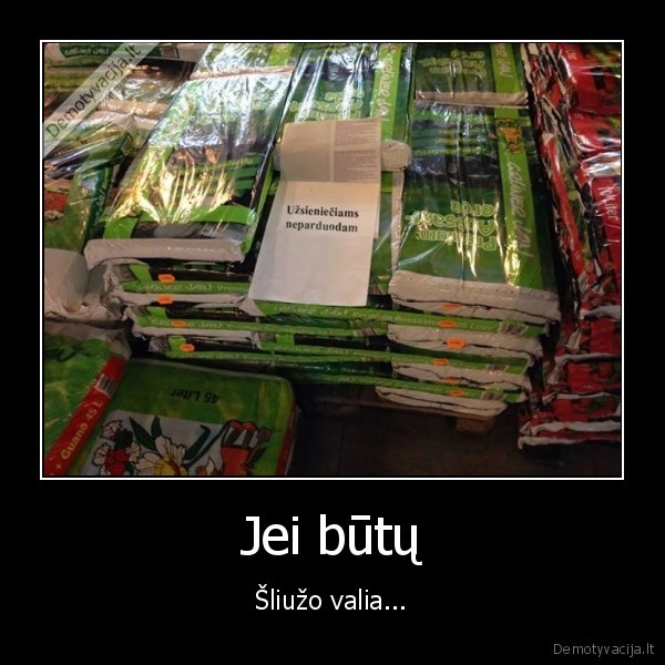 zemes, pardavimas, uzsienieciams,referendumas, lietuvoje