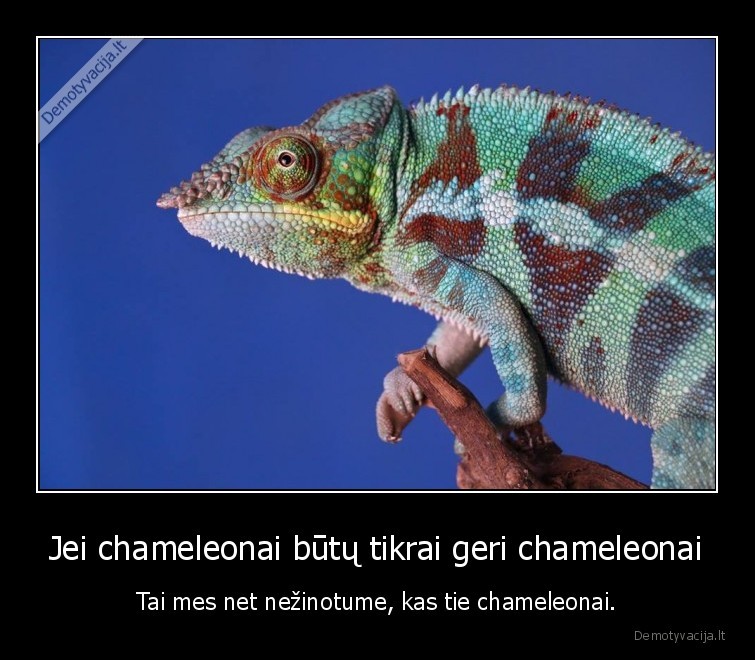 chameleonai,slepiasi,maskuojasi