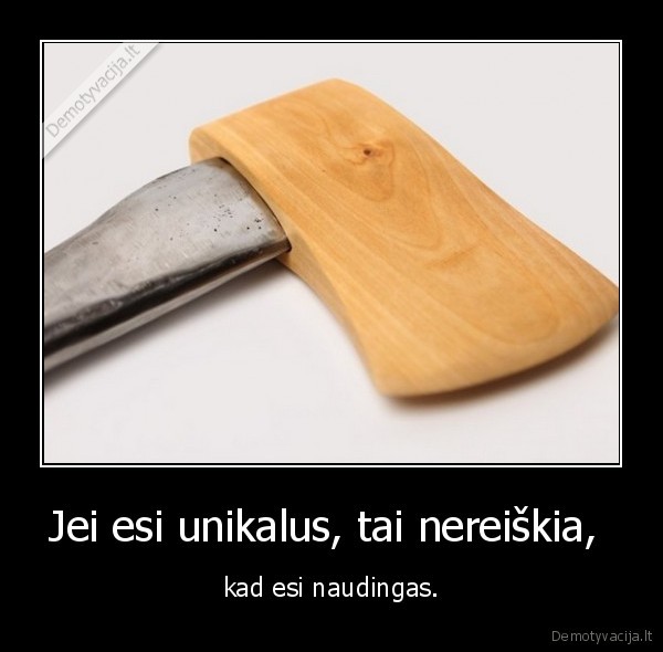 unikalumas,naudingumas,kirvis,medinis