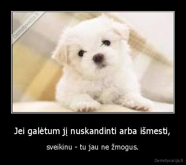 kubiliau, blet, neesk, sunienos