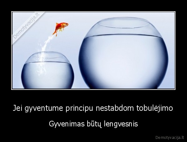 Jei gyventume principu nestabdom tobulėjimo