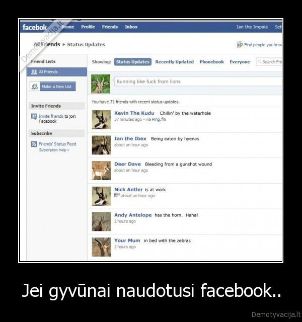 Jei gyvūnai naudotusi facebook..