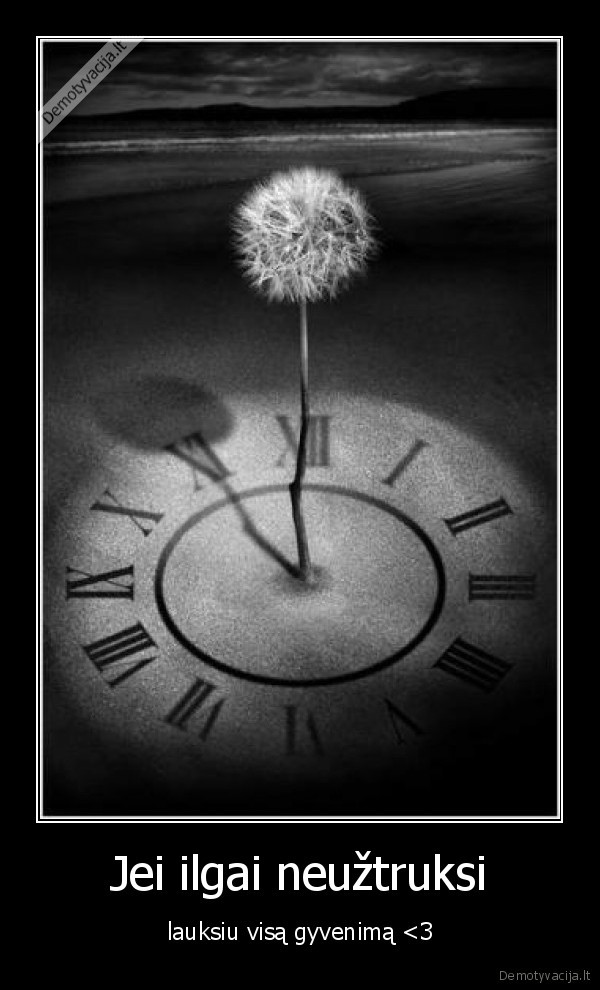 meile,gyvenimas,laikas