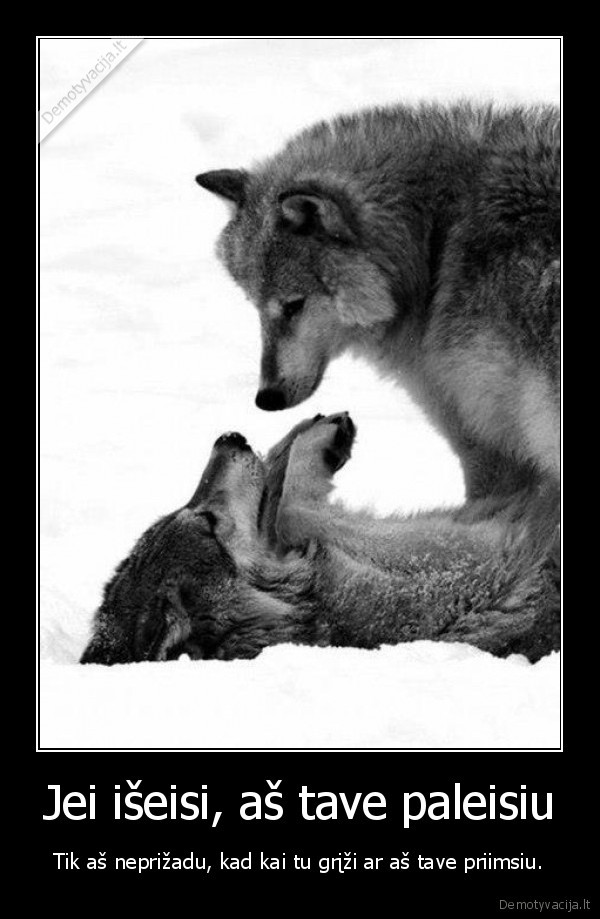 paliko,issiskirimas,skirybos