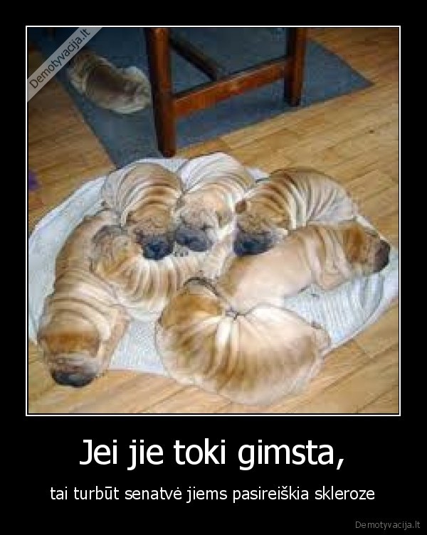 Jei jie toki gimsta,