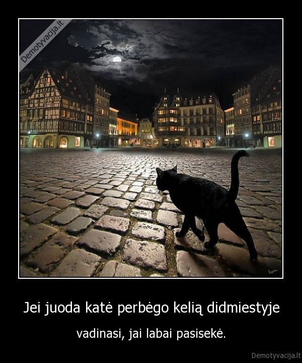 Jei juoda katė perbėgo kelią didmiestyje