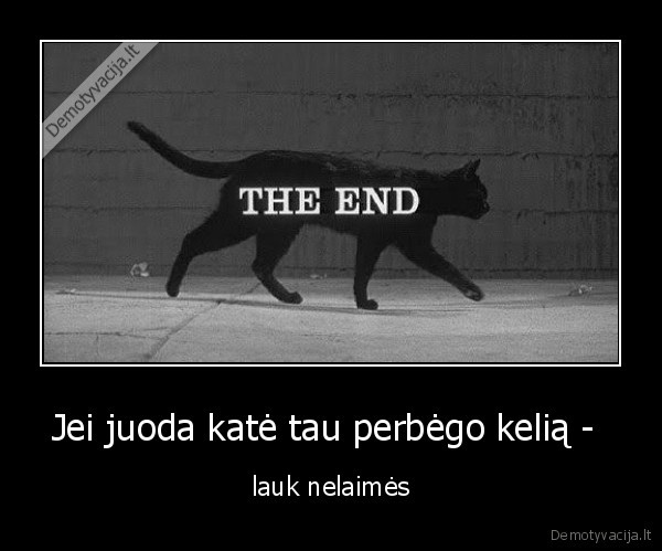 Jei juoda katė tau perbėgo kelią - 