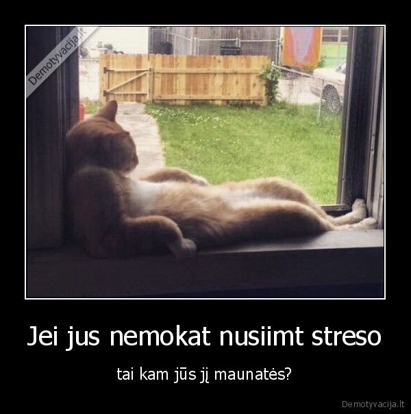 stresas,nusiimt