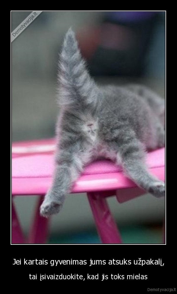 gyvenimas, atsuko, uzpakali,uzpakalis,subine,katino, uzpakalis