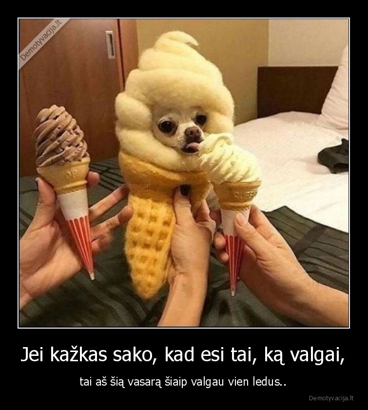 ledai,maistas,valgis