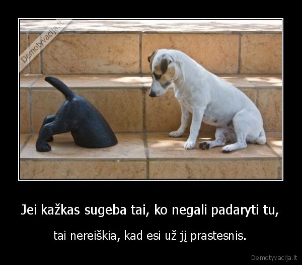 mes, visi, ka, nors, sugebame