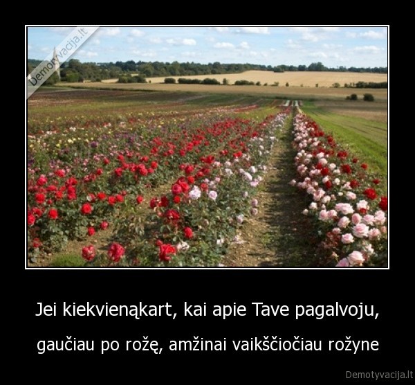 Jei kiekvienąkart, kai apie Tave pagalvoju,