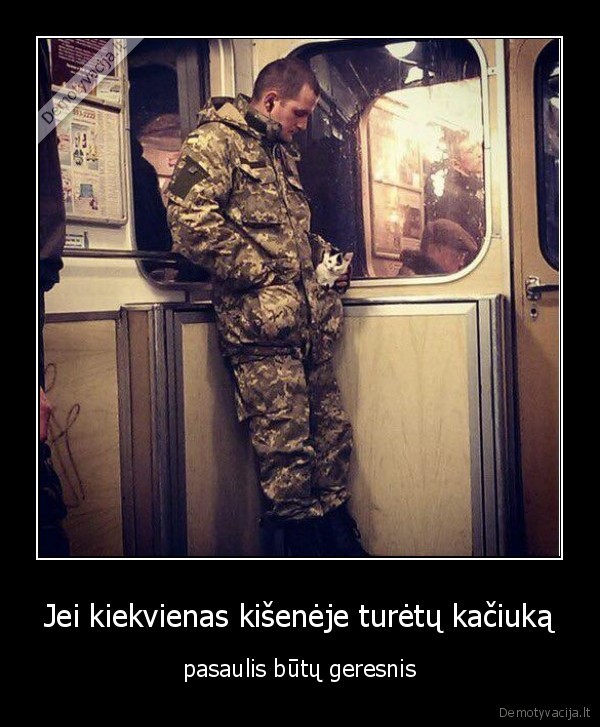 katinas,kaciukas,kisene