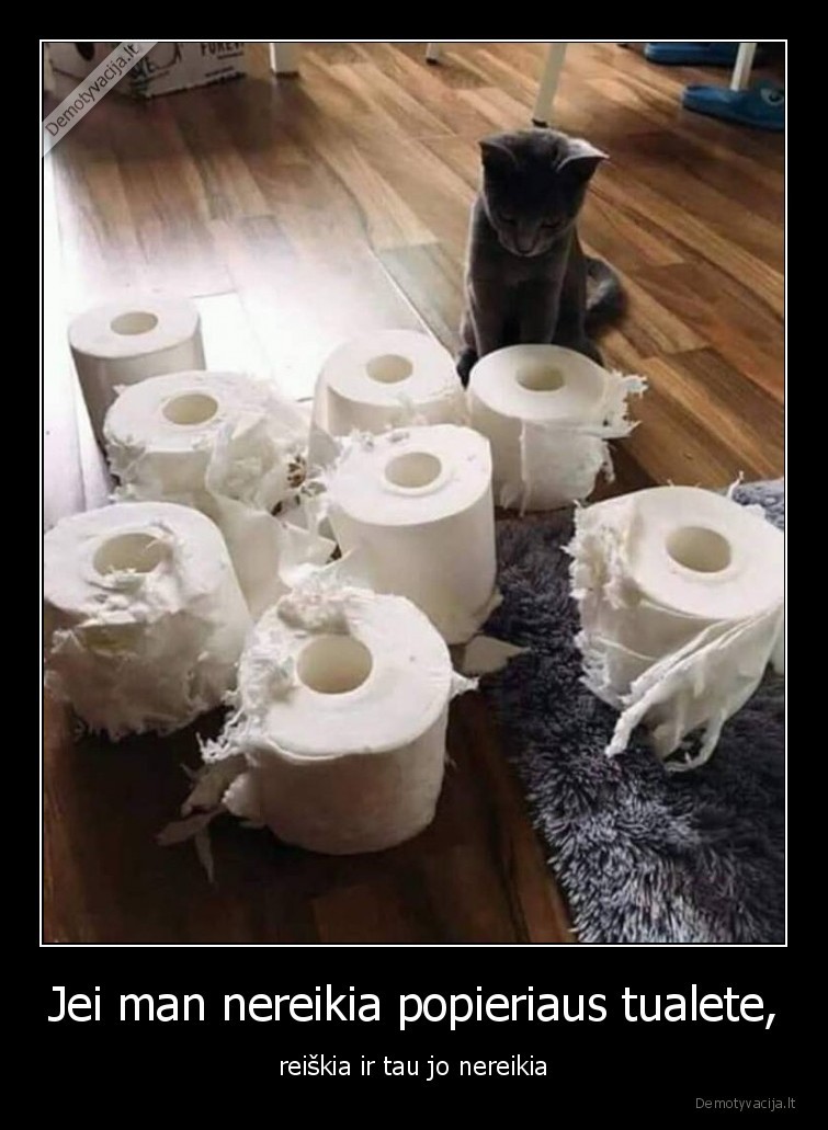 katinas,popierius,mastymas