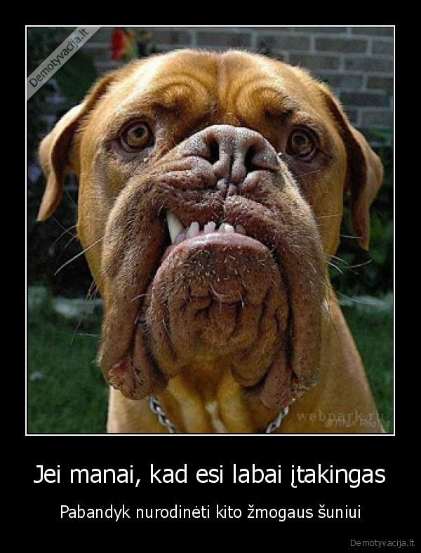 Jei manai, kad esi labai įtakingas