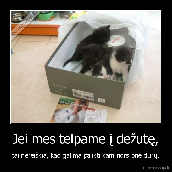 Jei mes telpame į dežutę,