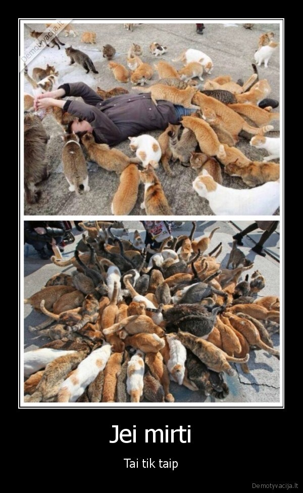 daug, kaciu,kate, uzpuole,mirtis