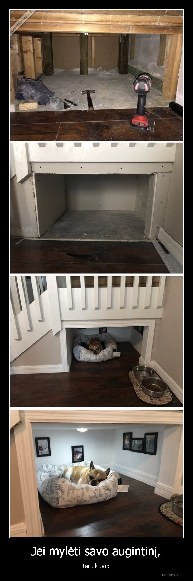 augintinis,meile,remontas,apartamentai,suo