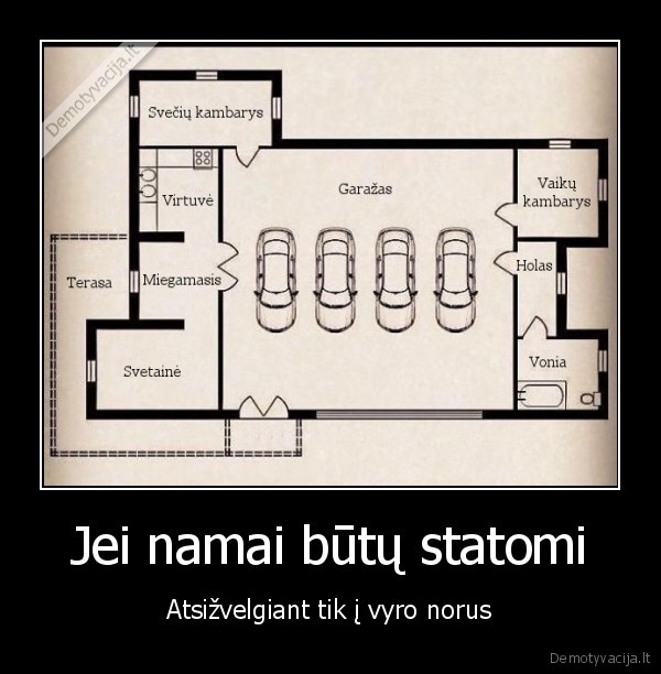 vyriskas, namas,didelis, garazas