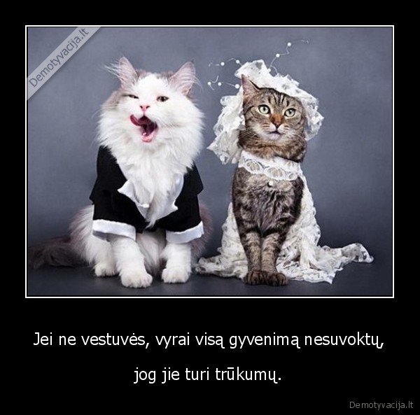 vestuves,vyrai,trukumai