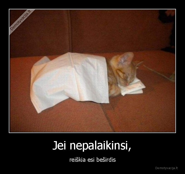 katinas,mielas,kaciukas