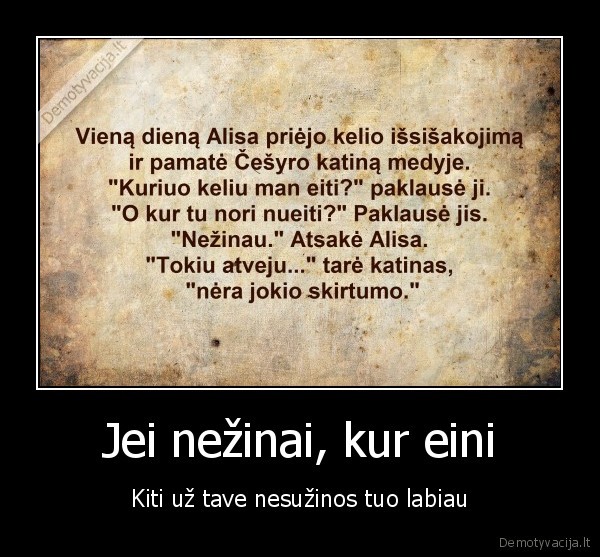 gyvenimas,kryzkele,nezinojimas,kvailumas,alisa,katinas,takas,kelias