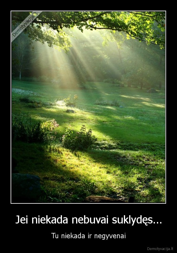 klaida, gyvenimas, niekada