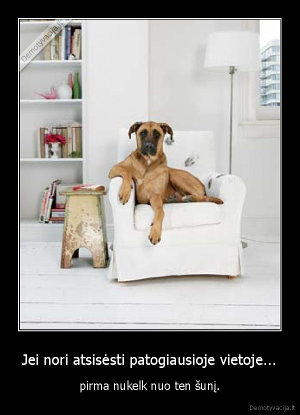 Jei nori atsisėsti patogiausioje vietoje...
