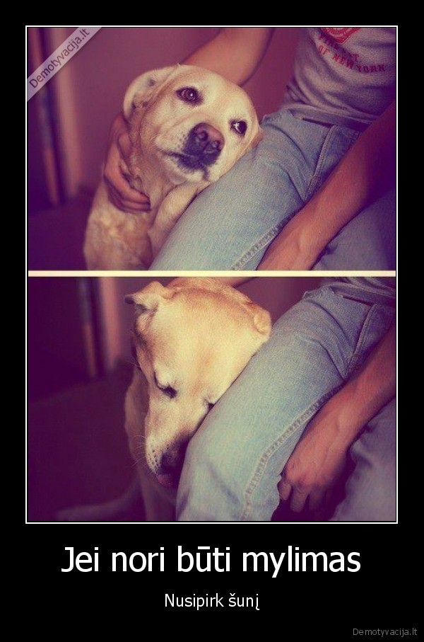 suns, meile,mylimas, suo,geriausias, zmogasu, draugas