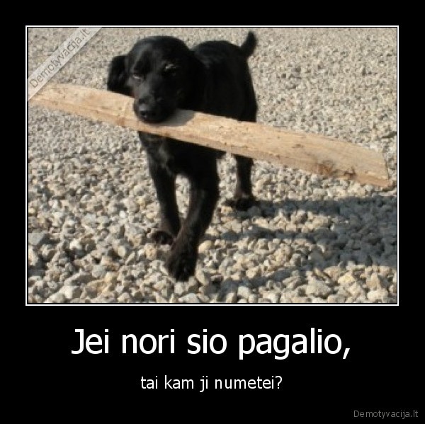 Jei nori sio pagalio,