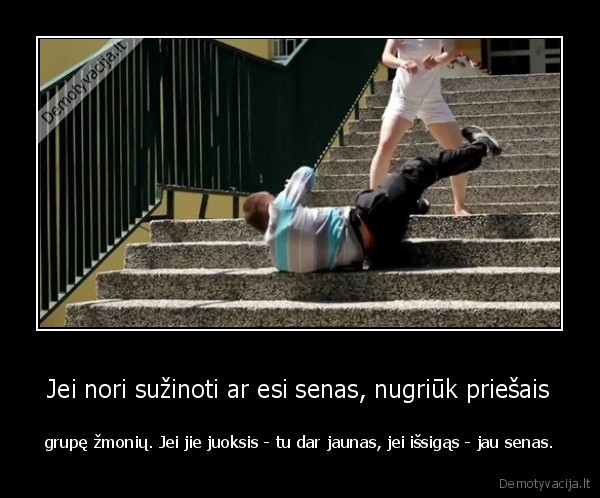 fail,nugriuvo,testas