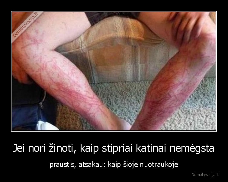 katinai,kates,bijo,vandens