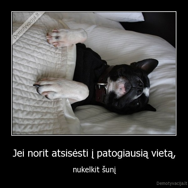 Jei norit atsisėsti į patogiausią vietą,