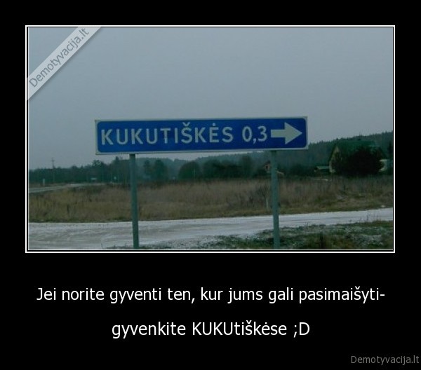 debilas,durnius,kuku,kiaulyte,marmeledas,ledai,transformatorine