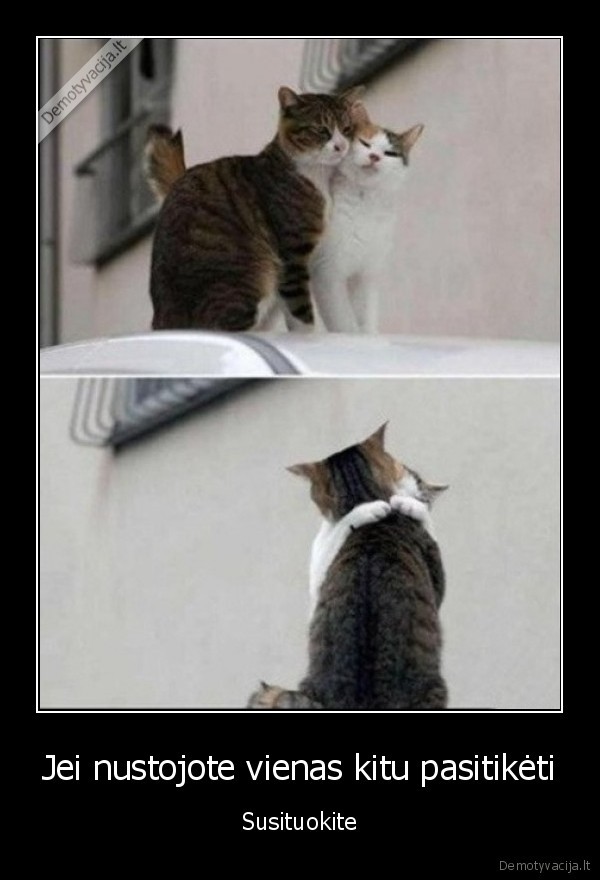 santuoka,mieli, katinai,vestuves,pasitikejimas