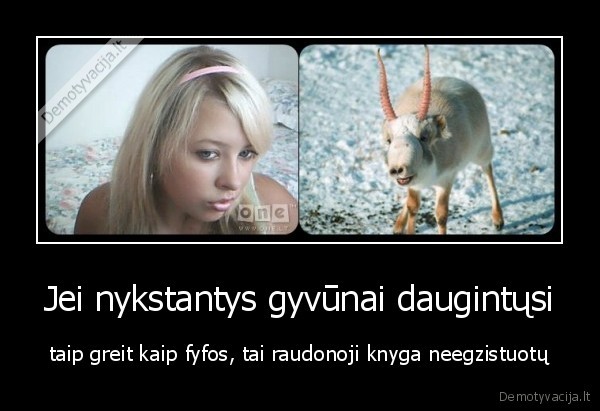 kubiliui, patinka, fyfos