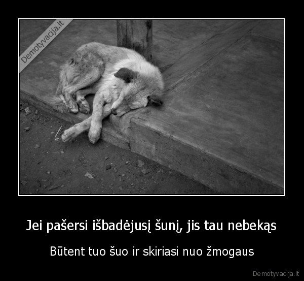 suo,maistas,skirtumai